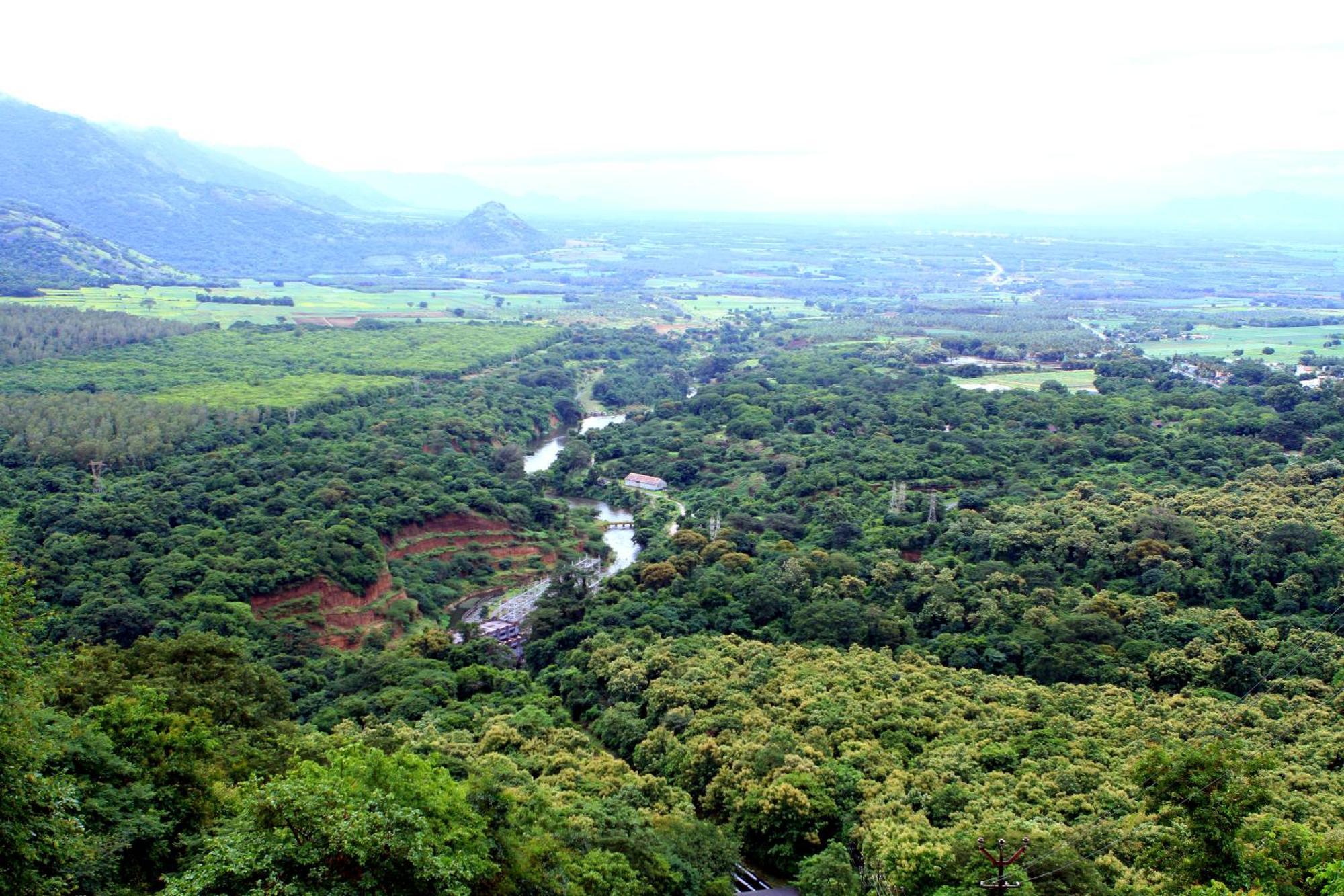 Spicegreen Homestay,Thekkady Bagian luar foto