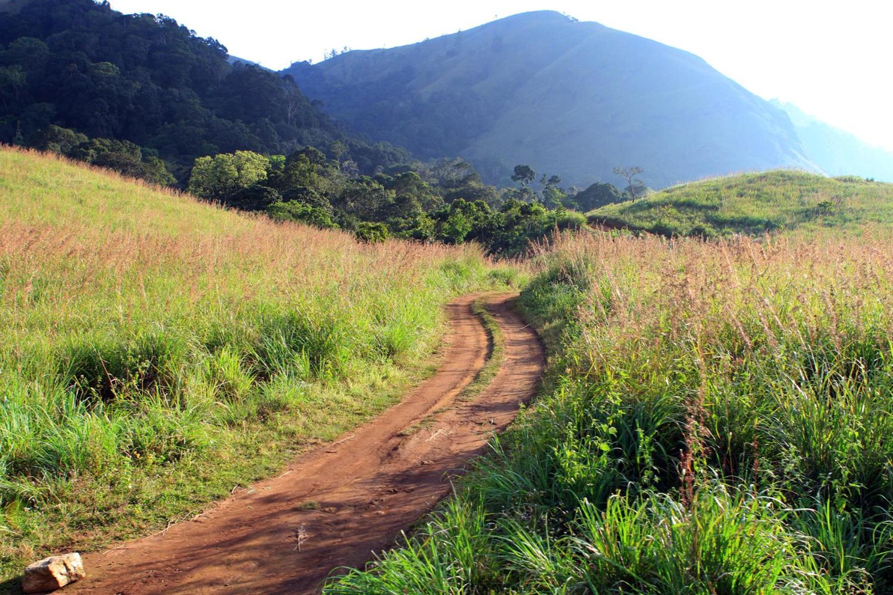 Spicegreen Homestay,Thekkady Bagian luar foto