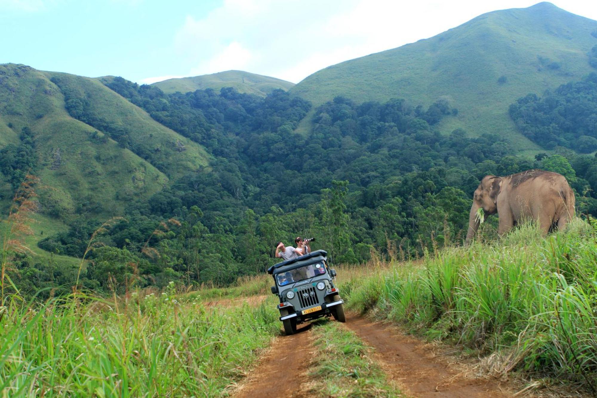 Spicegreen Homestay,Thekkady Bagian luar foto